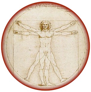 Description: Homme de Vitruve